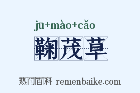 鞠茂草是什么意思的图片